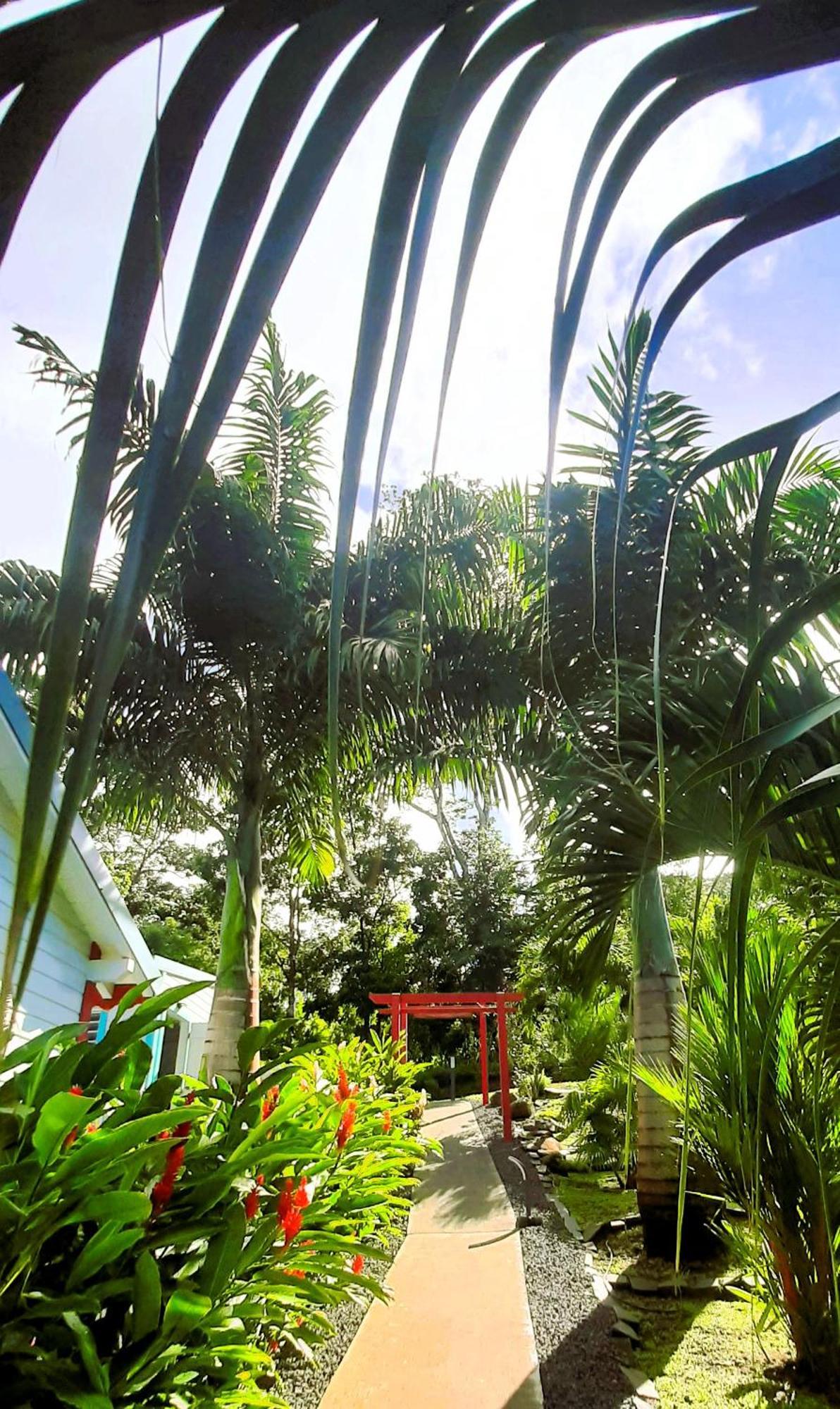דסהייס Caraibes Cottages Corail Piscine Privee A 900M De La Plage De Grande Anse מראה חיצוני תמונה