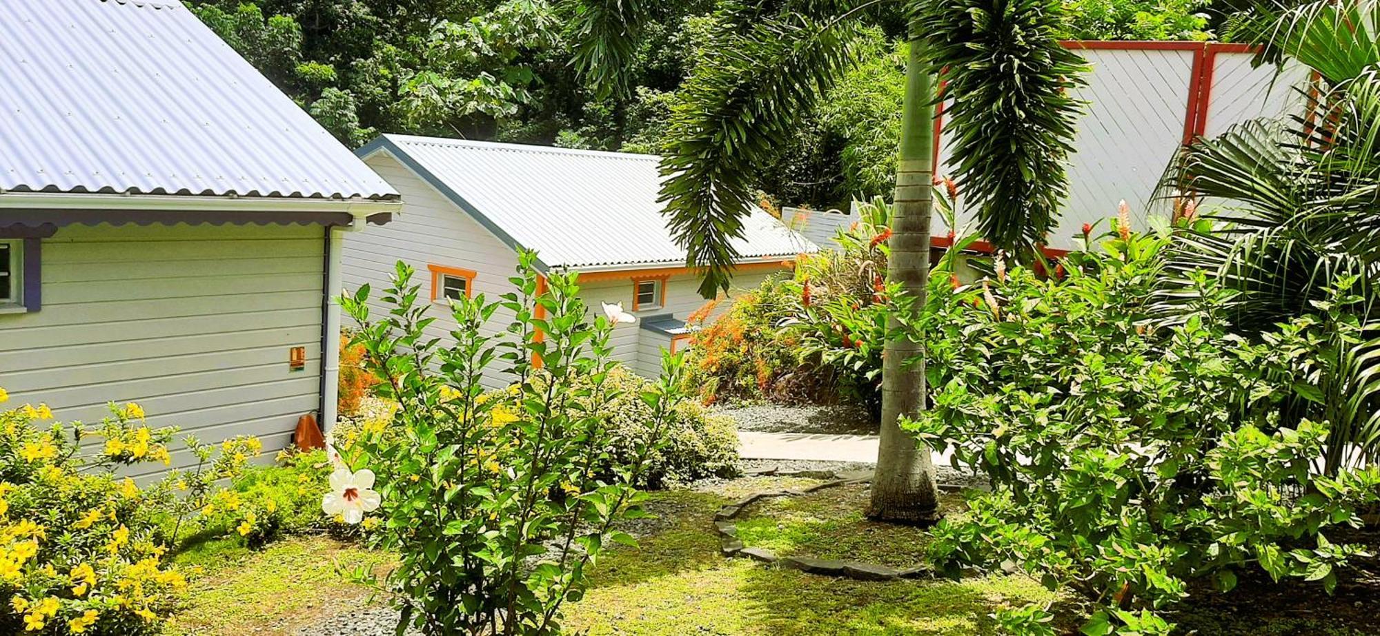 דסהייס Caraibes Cottages Corail Piscine Privee A 900M De La Plage De Grande Anse מראה חיצוני תמונה