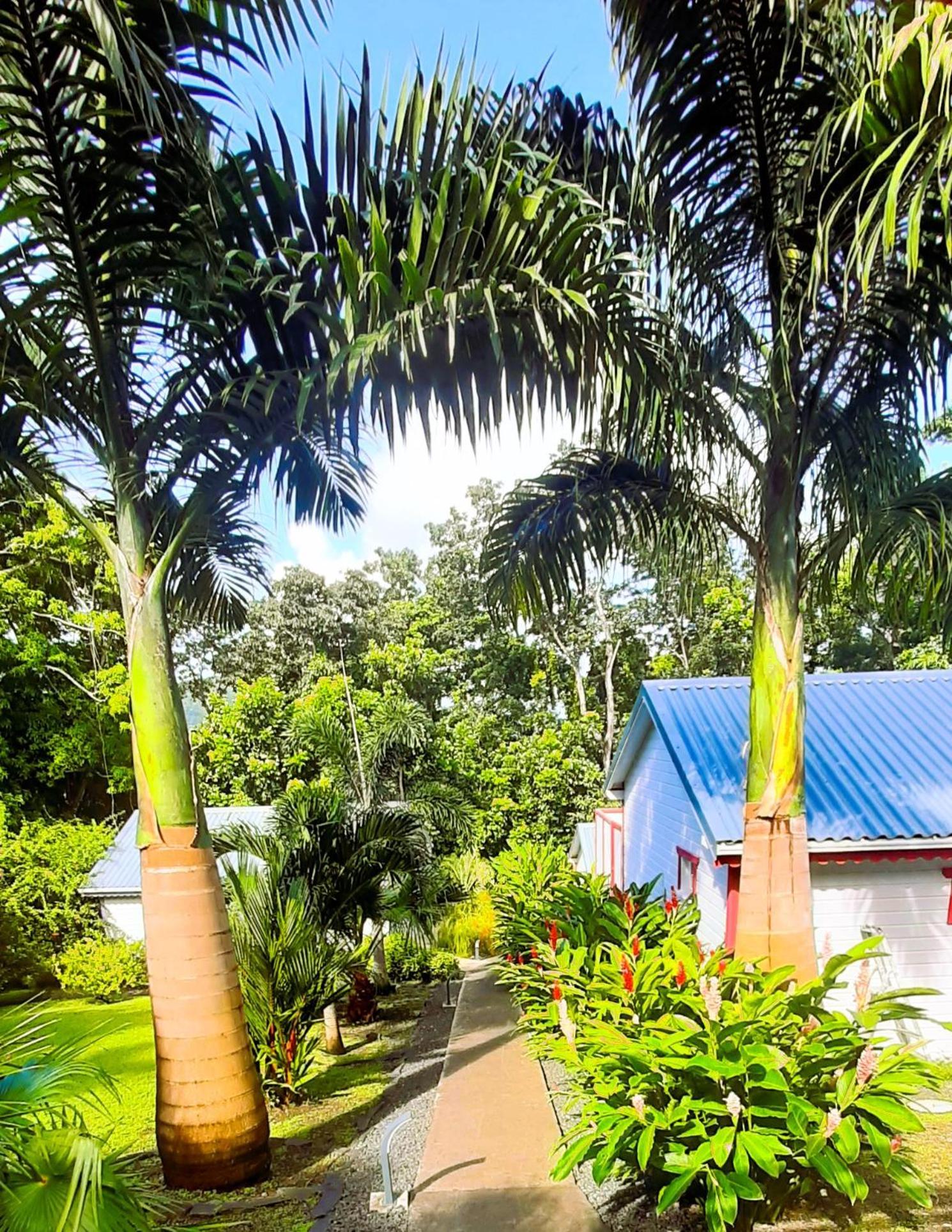 דסהייס Caraibes Cottages Corail Piscine Privee A 900M De La Plage De Grande Anse מראה חיצוני תמונה